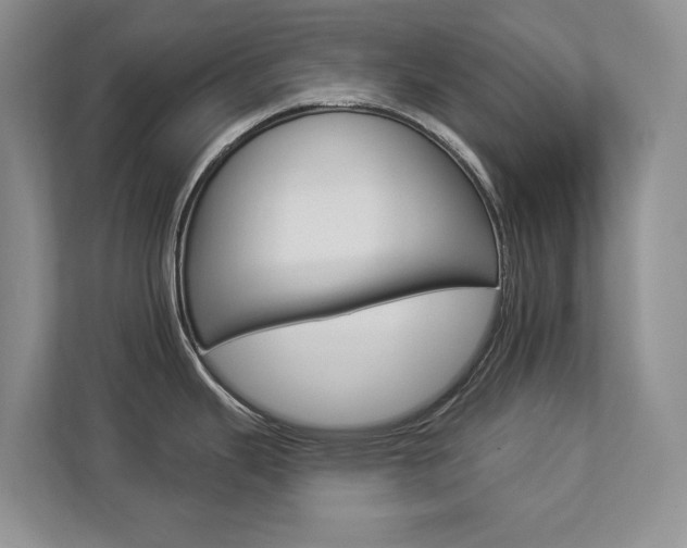 X0000112891343200908211022