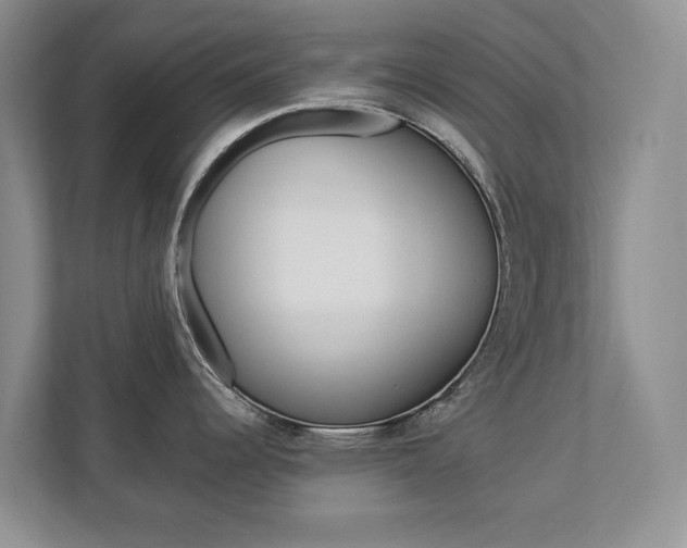 X0000112891344200908211023