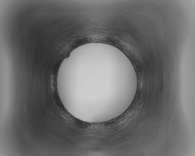 X0000112891346200908211022
