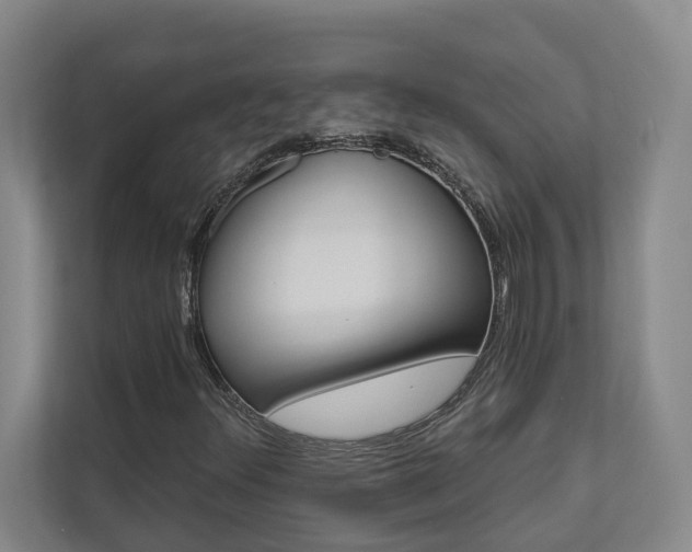 X0000112891348200908211022