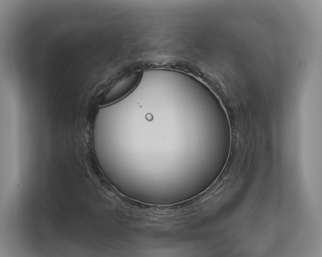 X0000112891349200908211022