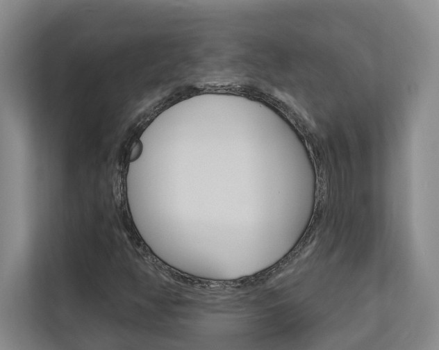 X0000112891350200908211022