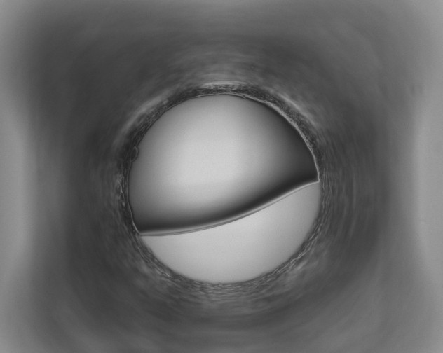 X0000112891351200908211022