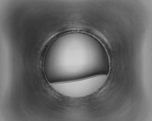 X0000112891352200908211022