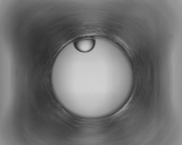 X0000112891353200908211022