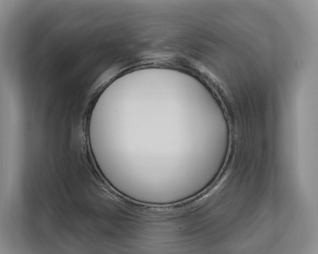X0000112891354200908211022
