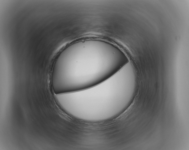 X0000112891355200908211022