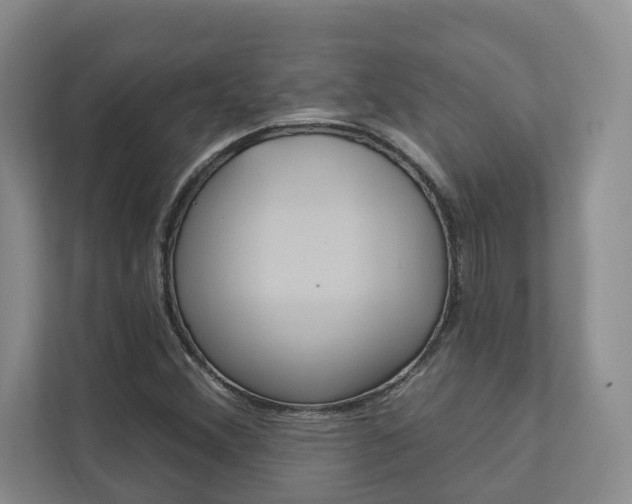 X0000112891356200908211022