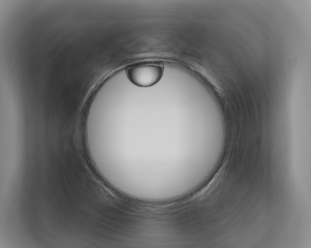 X0000112891357200908211022
