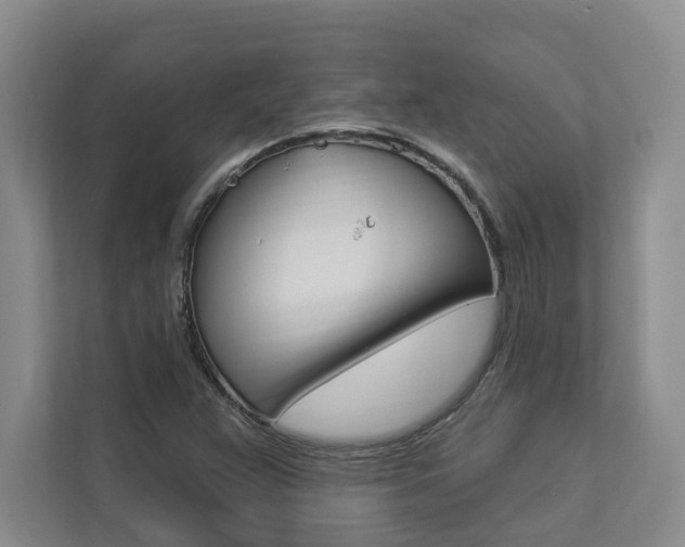 X0000112891359200908211022