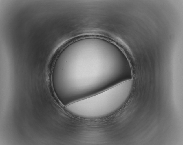 X0000112891360200908211022