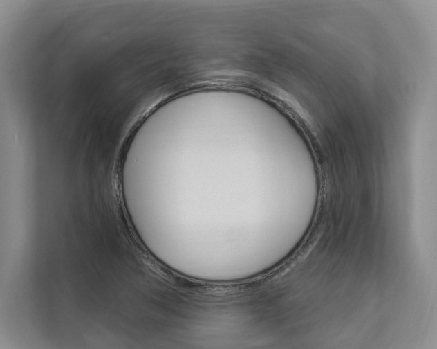 X0000112891362200908211022