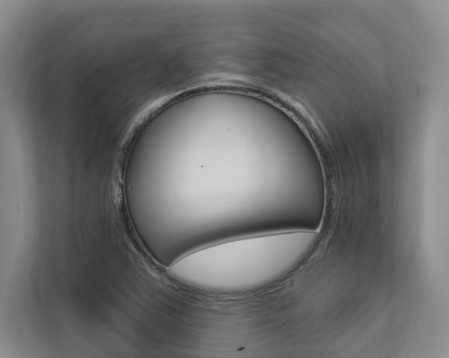X0000112891363200908211022