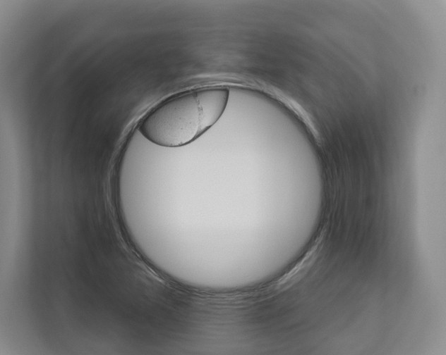X0000112891365200908211022