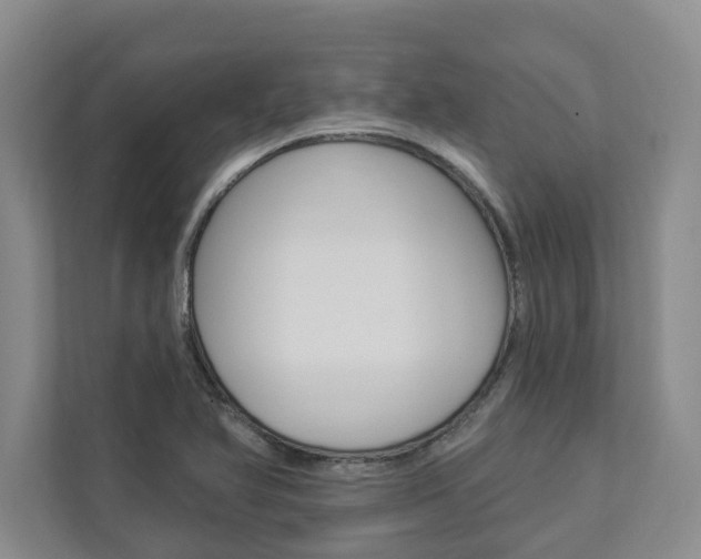 X0000112891366200908211022
