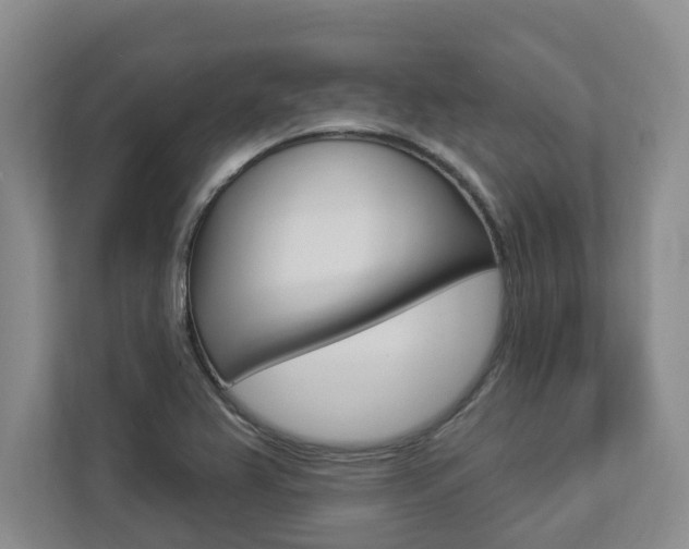 X0000112891367200908211022