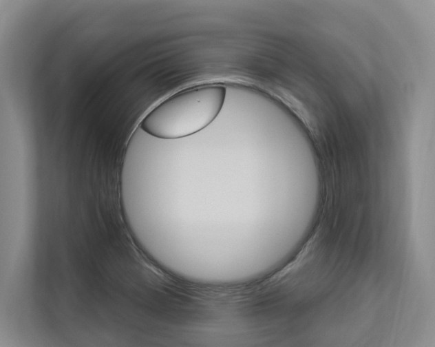 X0000112891369200908211022
