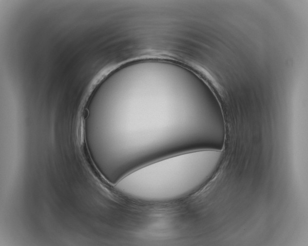 X0000112891371200908211022
