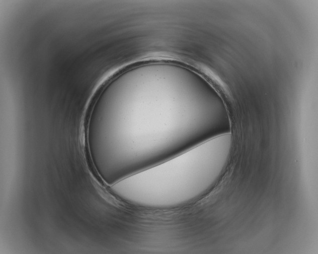 X0000112891372200908211022