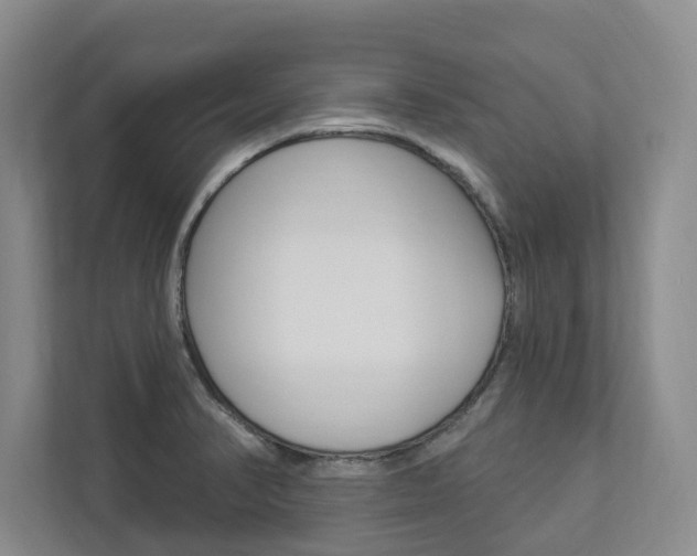 X0000112891374200908211022