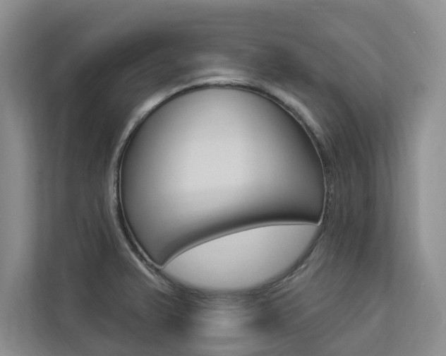 X0000112891375200908211021