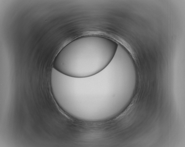 X0000112891377200908211021