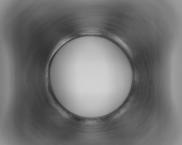 X0000112891378200908211021