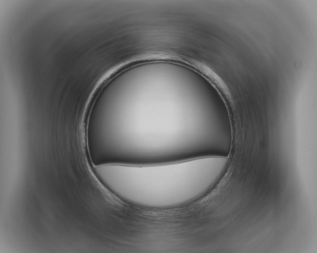 X0000112891380200908211021