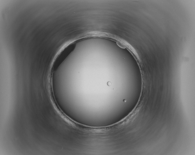X0000112891381200908211021