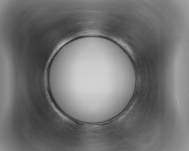 X0000112891382200908211021
