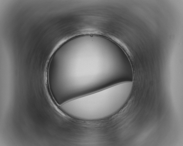 X0000112891383200908211021