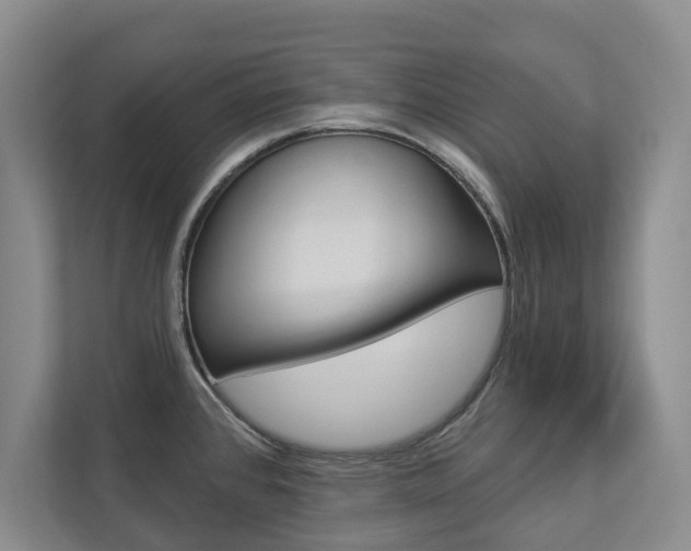 X0000112891384200908211021