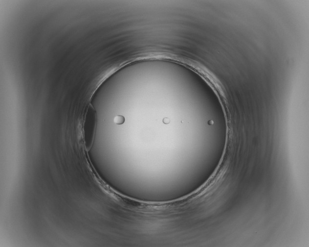 X0000112891385200908211021