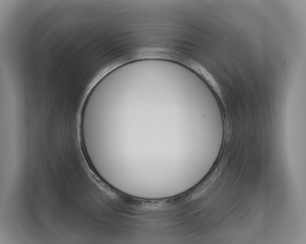 X0000112891386200908211021