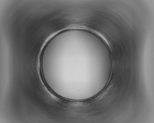X0000112891387200908211021