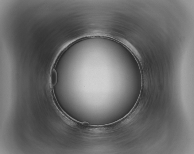 X0000112891388200908211021