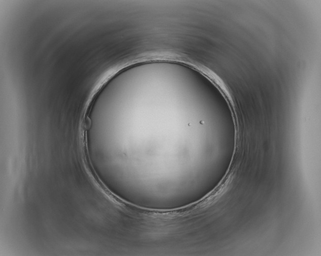 X0000112891389200908211021