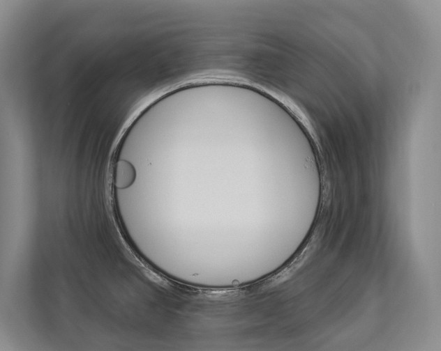 X0000112891390200908211021