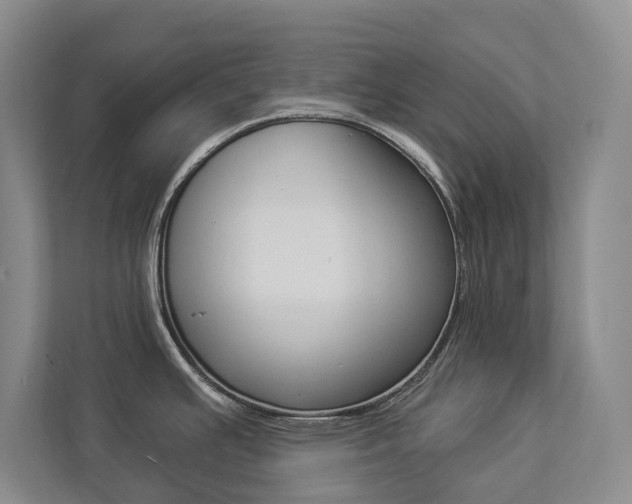 X0000112891391200908211021