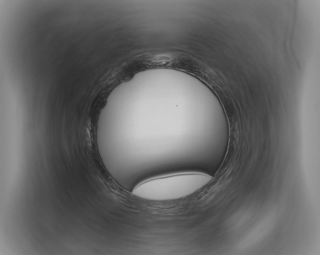 X0000112891394200908211021