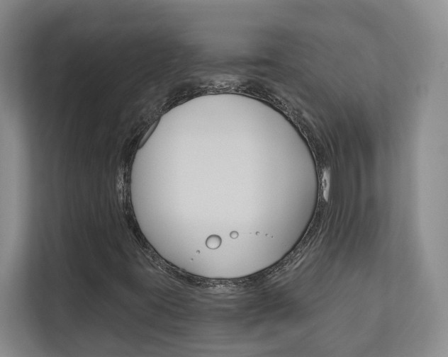 X0000112891395200908211021