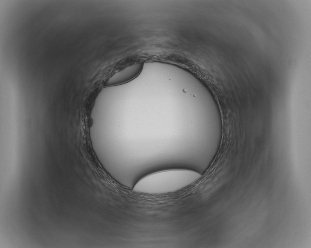 X0000112891397200908211021
