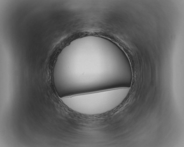 X0000112891398200908211021