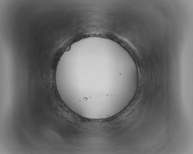 X0000112891399200908211021