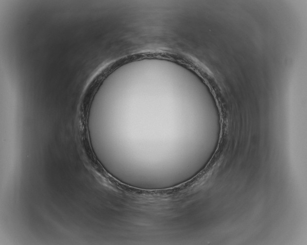 X0000112891400200908211021