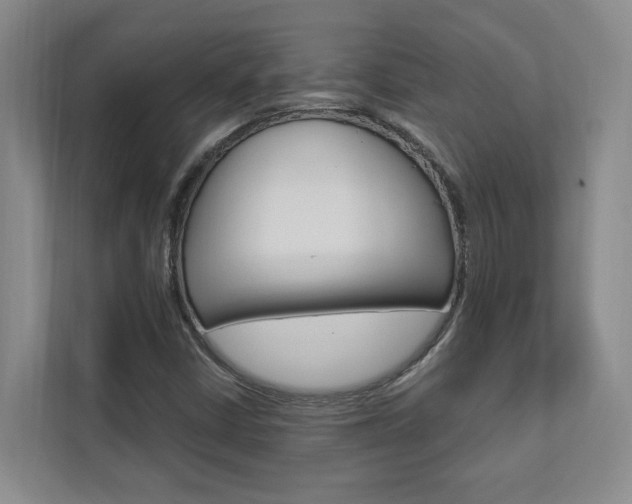 X0000112891402200908211021
