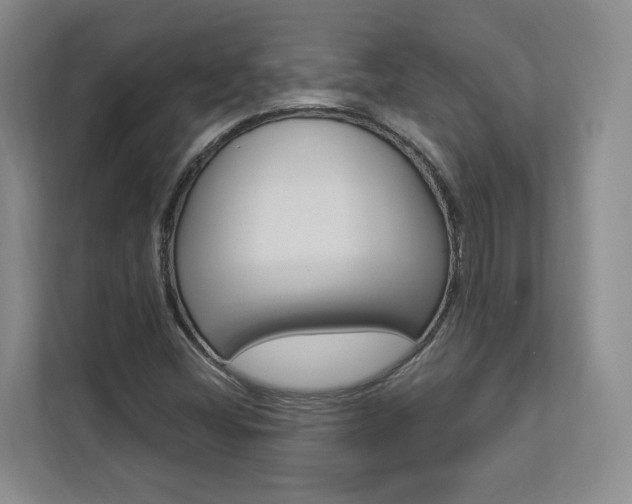 X0000112891404200908211021