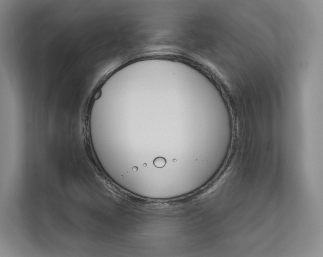 X0000112891405200908211021