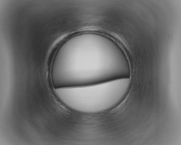 X0000112891406200908211021