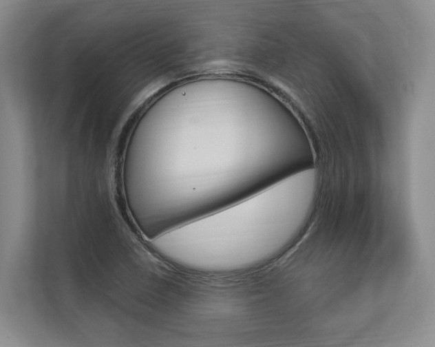 X0000112891410200908211021